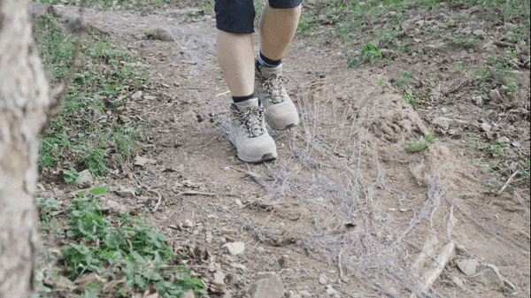295989aadef0175fcbd5ce00e3ce0ac0_1773376989_8194.gif