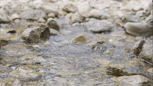 295989aadef0175fcbd5ce00e3ce0ac0_1773377015_9682.gif